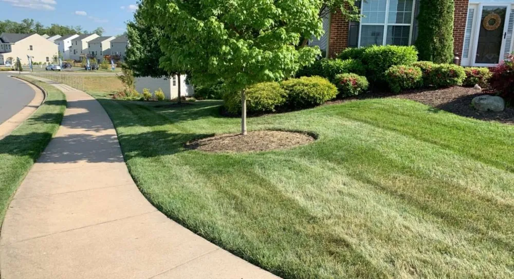 Affordable landscaping services in Sumter, SC by Deep Roots Lawn & Landscapes