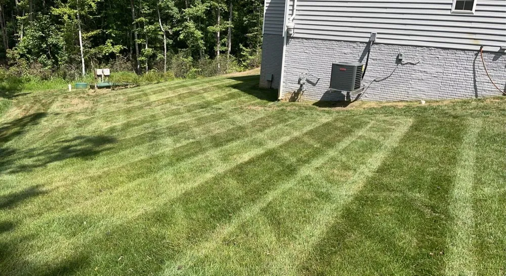 Reliable landscaping services in Sumter, SC - Deep Roots Lawn & Landscapes