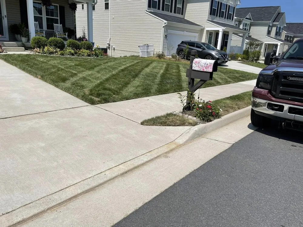 Custom landscape installation in Sumter, SC - Deep Roots Lawn & Landscapes