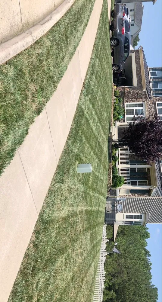 Custom yard maintenance for homes across Sumter, SC - Deep Roots Lawn & Landscapes