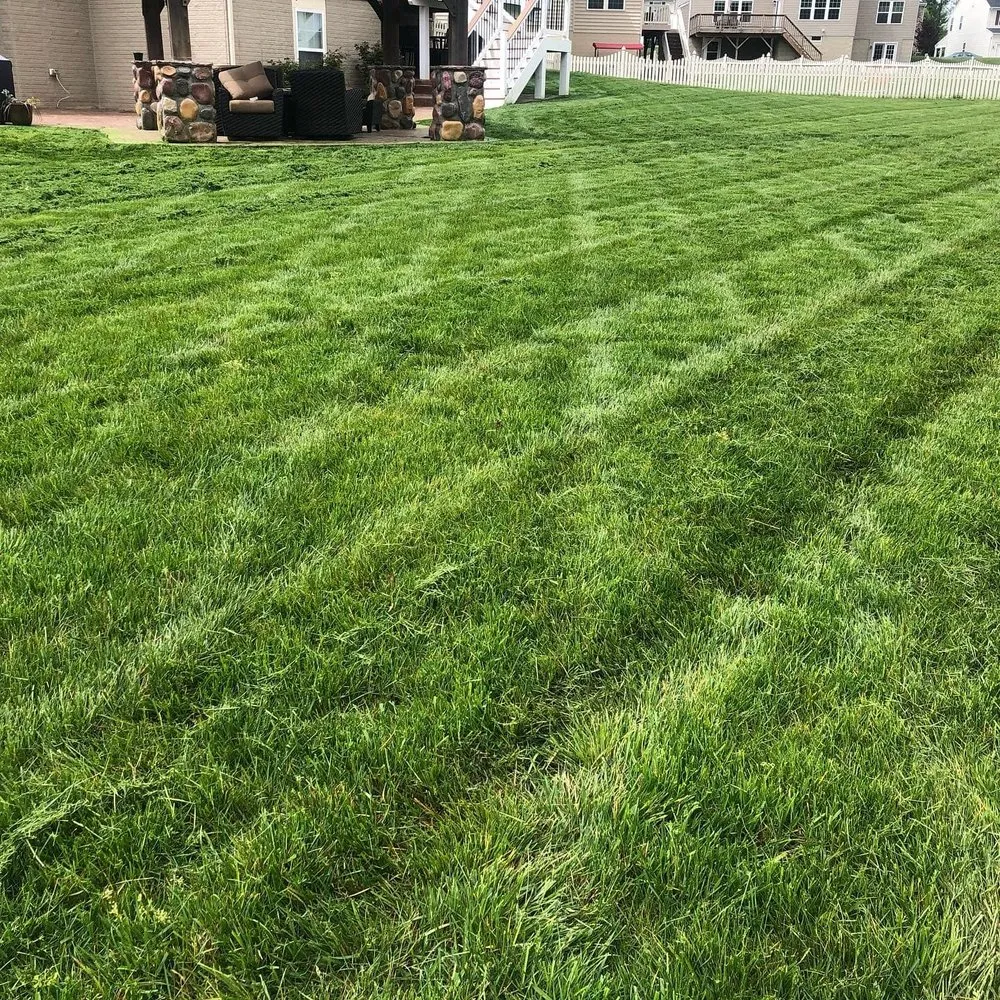 Custom lawn mowing service experts serving Sumter, SC - Deep Roots Lawn & Landscapes