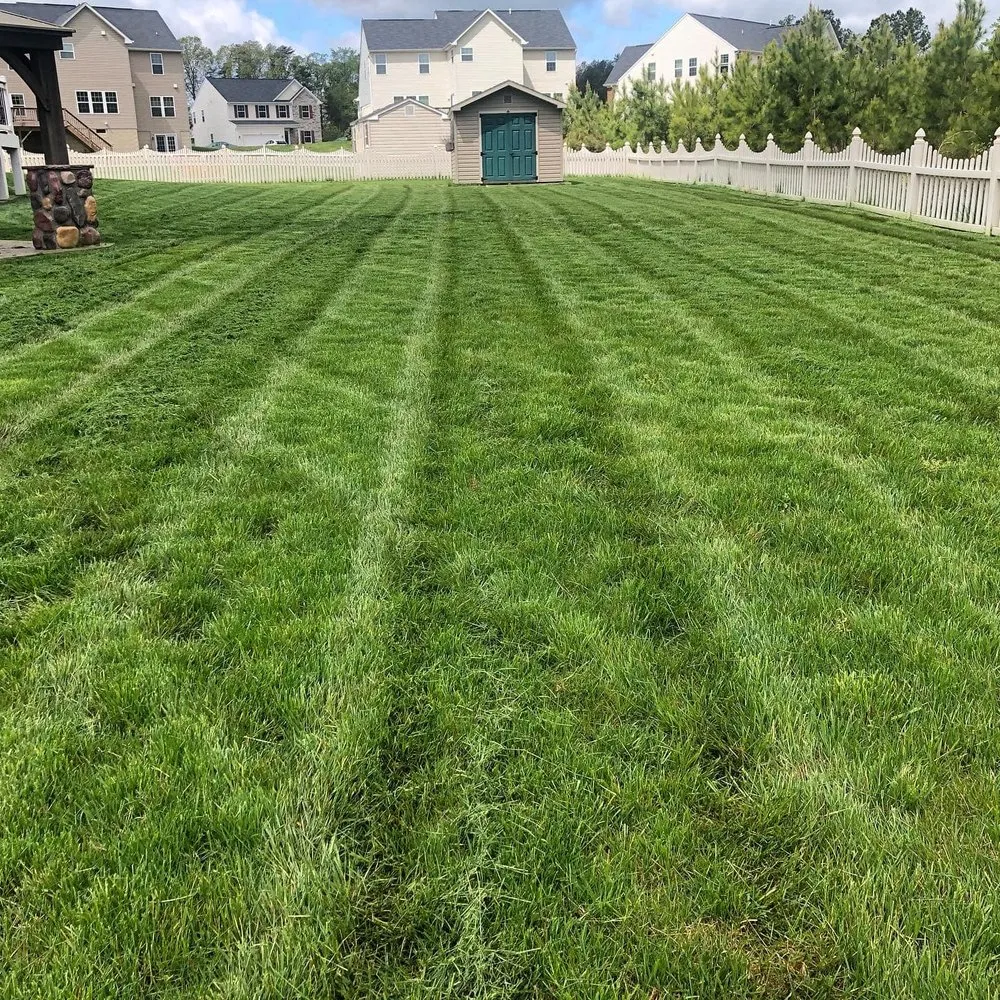 Local yard cleanup service for homes in Sumter, SC by Deep Roots Lawn & Landscapes