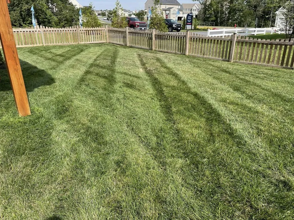 Top-rated yard cleanup service in Sumter, SC - Deep Roots Lawn & Landscapes