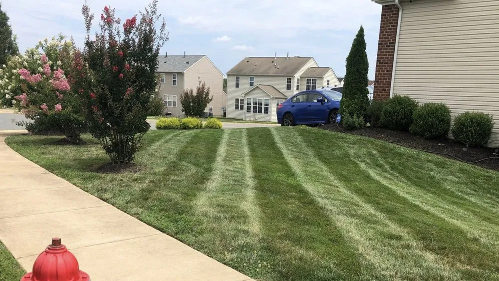 Reliable residential landscaping experts serving Sumter, SC - Deep Roots Lawn & Landscapes