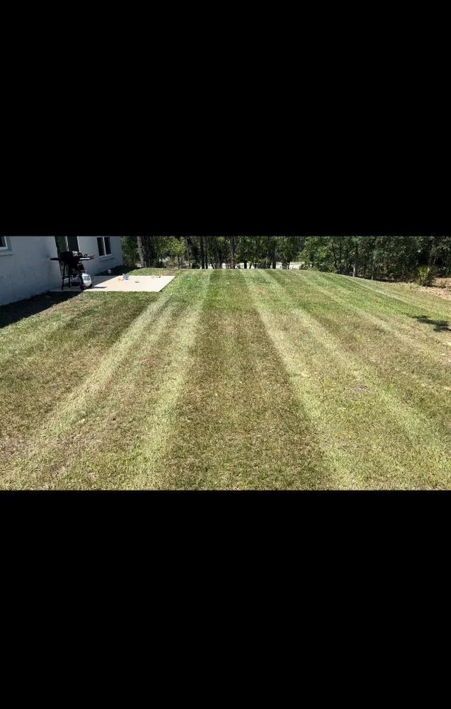 Local landscape design experts serving Crystal River, FL - Deep Roots Lawn Care