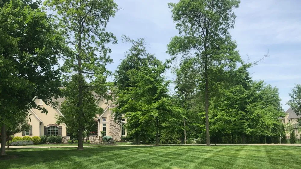 Top-rated residential landscaping in Ostrander, OH by Deep Roots Lawn Service