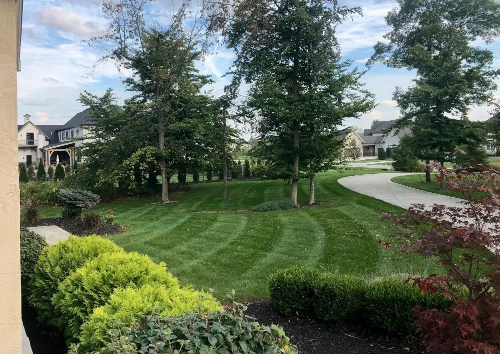 Trusted lawn care service in Ostrander, OH - Deep Roots Lawn Service
