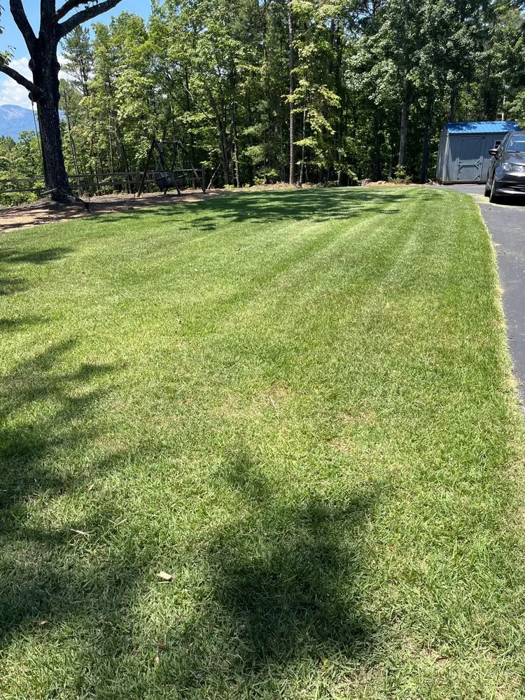 Local yard maintenance experts serving Morganton, NC - Deep Roots Property Management