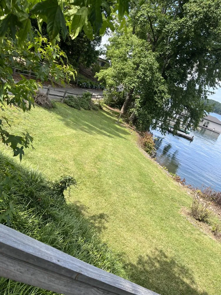 Expert lawn care service for beautiful yards in Morganton, NC by Deep Roots Property Management