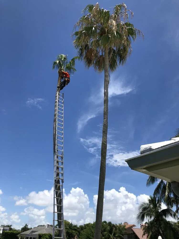 Local lawn care service in Pompano Beach, FL by Deep Roots Services