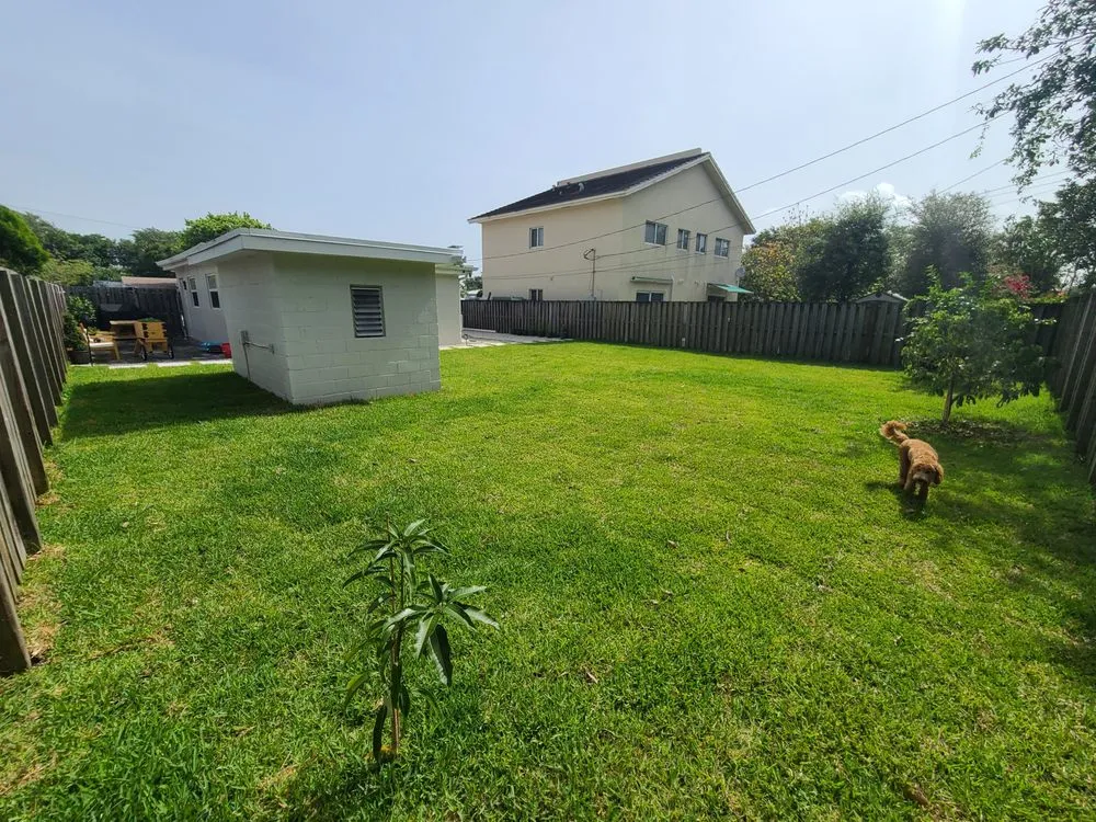 Top-rated lawn mowing service in Pompano Beach, FL by Deep Roots Services