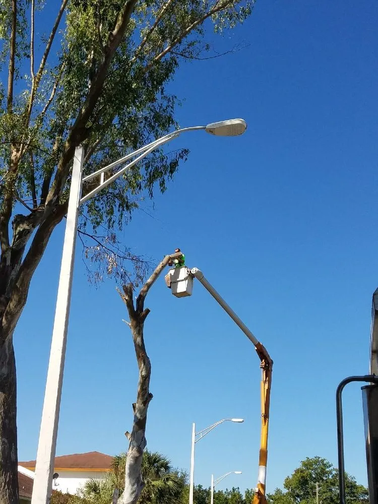 Custom garden landscaping in Pompano Beach, FL by Deep Roots Services