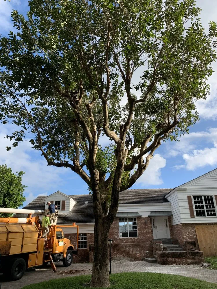 Custom residential landscaping for residential properties in Pompano Beach, FL by Deep Roots Services