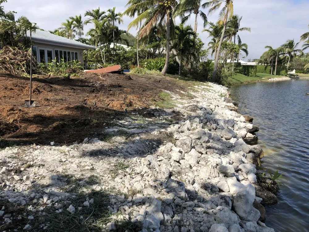 Trusted yard maintenance in Pompano Beach, FL by Deep Roots Services