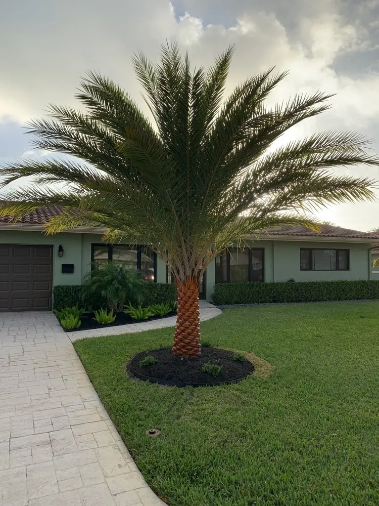 Top-rated landscape design in Pompano Beach, FL - Deep Roots Services