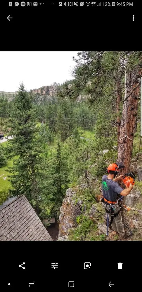 Professional landscape design in Rapid City, SD - Deep Roots Tree