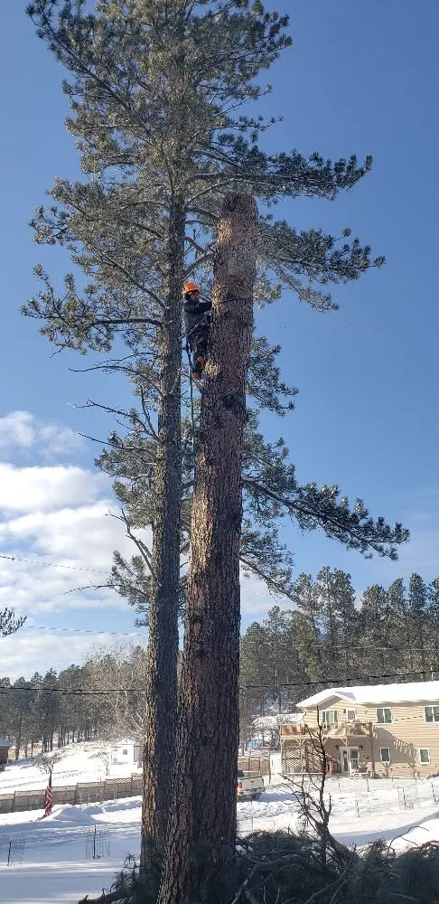 Affordable yard maintenance near you in Rapid City, SD by Deep Roots Tree