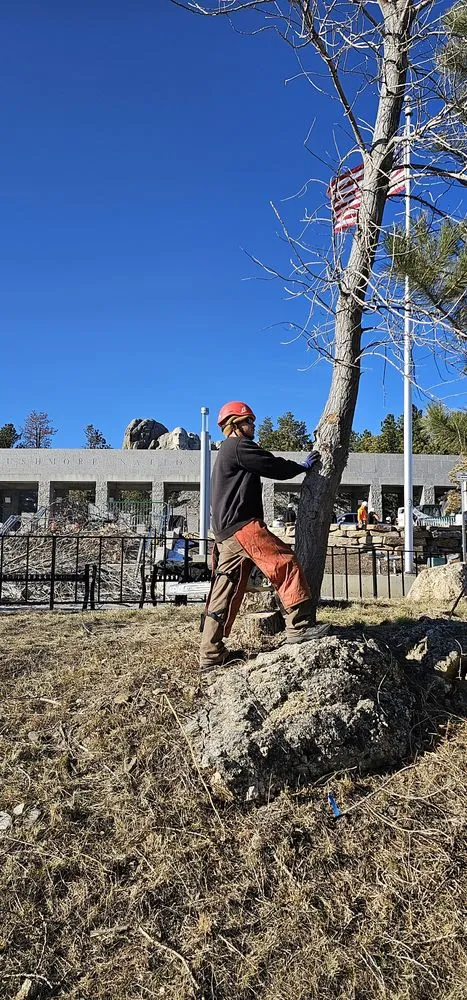 Reliable landscape installation for homes in Rapid City, SD by Deep Roots Tree