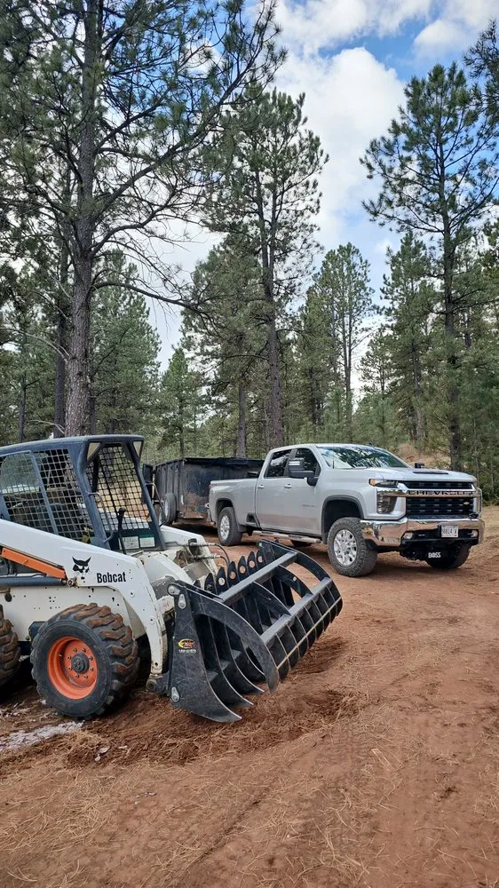 Expert yard cleanup service for residential properties across Rapid City, SD - Deep Roots Tree