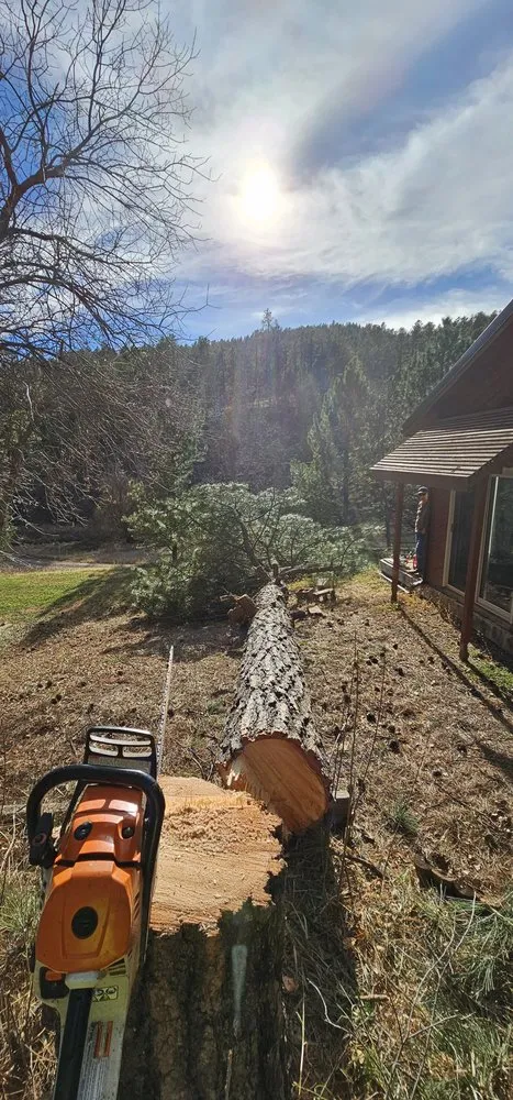 Trusted yard maintenance for year-round maintenance in Rapid City, SD by Deep Roots Tree