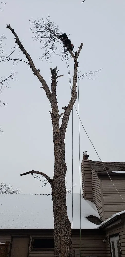 Custom outdoor landscaping in Rapid City, SD by Deep Roots Tree