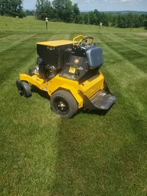 Deep Roots Turf Solutions