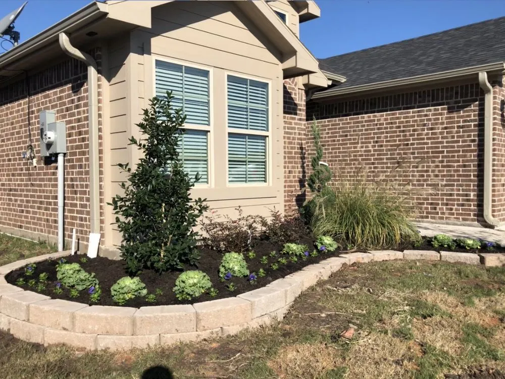 Custom yard cleanup service in Whitesboro, TX by Deep Roots