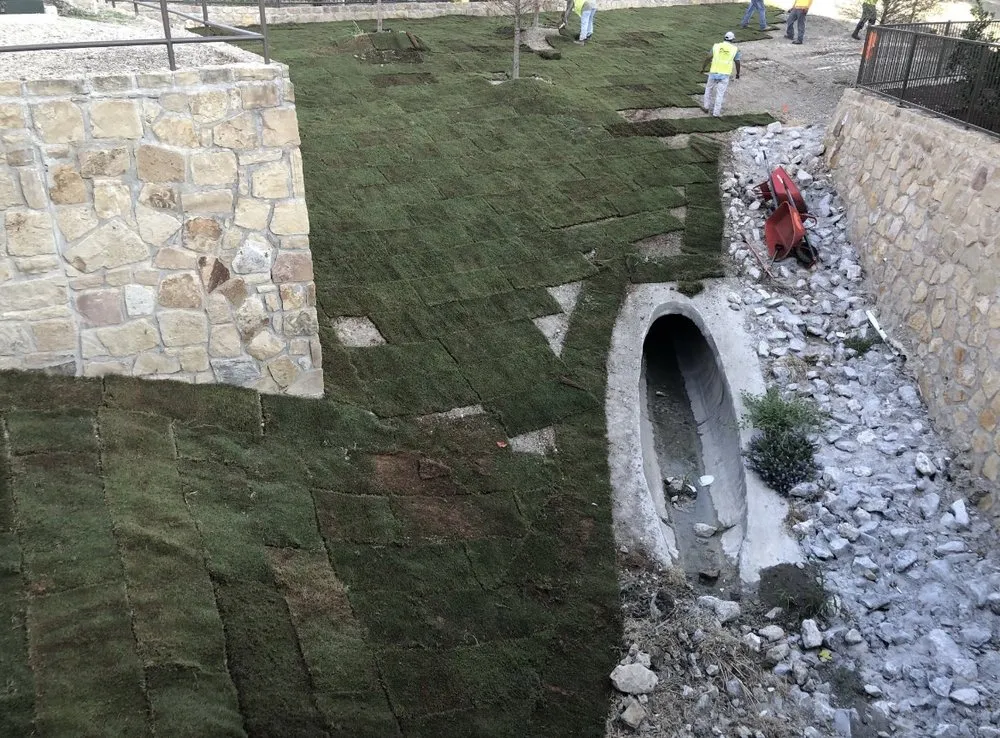 Expert landscape installation in Whitesboro, TX - Deep Roots