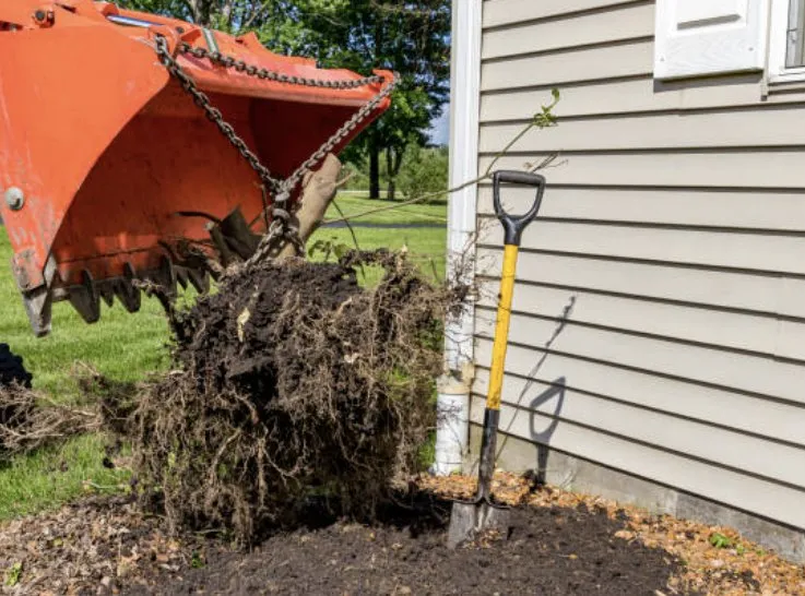 Reliable landscaping services for homes in Rockford, IL by Deep Roots Yarding