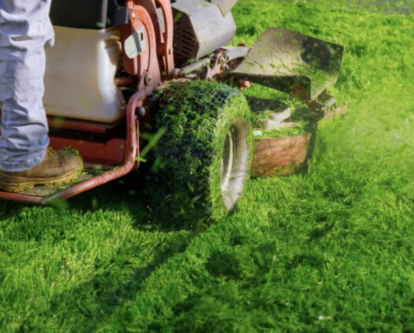 Reliable outdoor landscaping experts serving Rockford, IL - Deep Roots Yarding