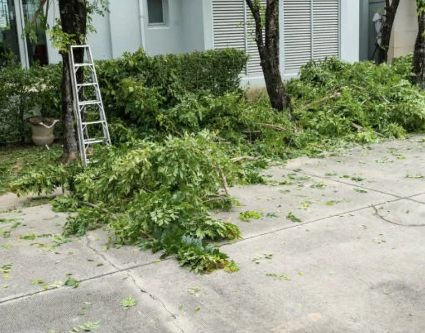 Custom yard cleanup service in Rockford, IL - Deep Roots Yarding