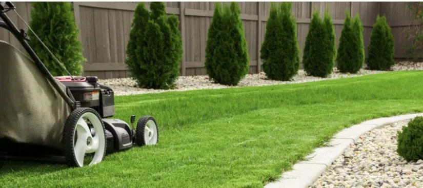 Local outdoor landscaping in Rockford, IL - Deep Roots Yarding