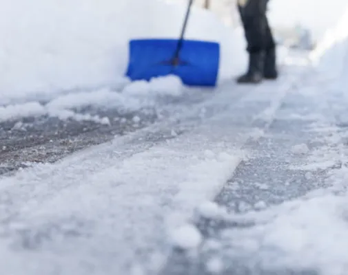 Deep Roots Yarding Logo