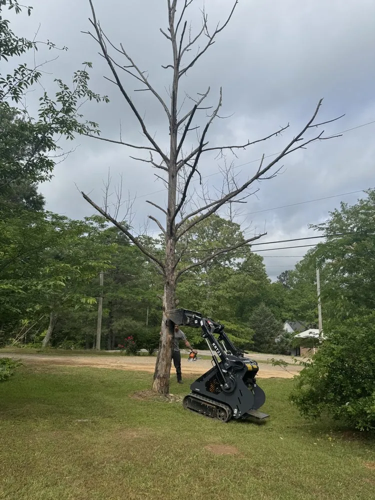 Reliable landscape installation experts serving Jasper, AL - Deep South Excavation And Landscaping