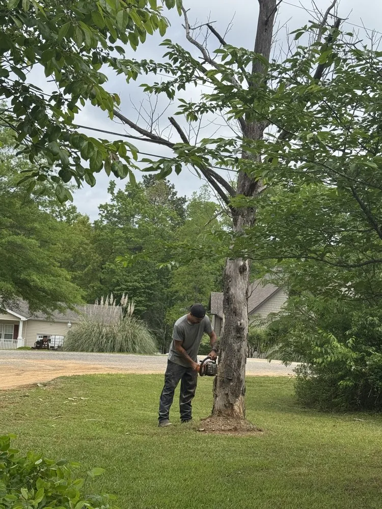 Reliable residential landscaping in Jasper, AL by Deep South Excavation And Landscaping