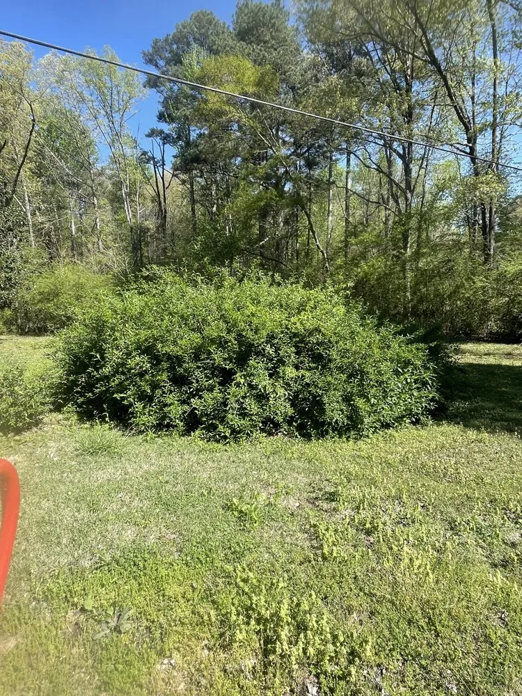 Reliable landscaping services in Jasper, AL by Deep South Excavation And Landscaping