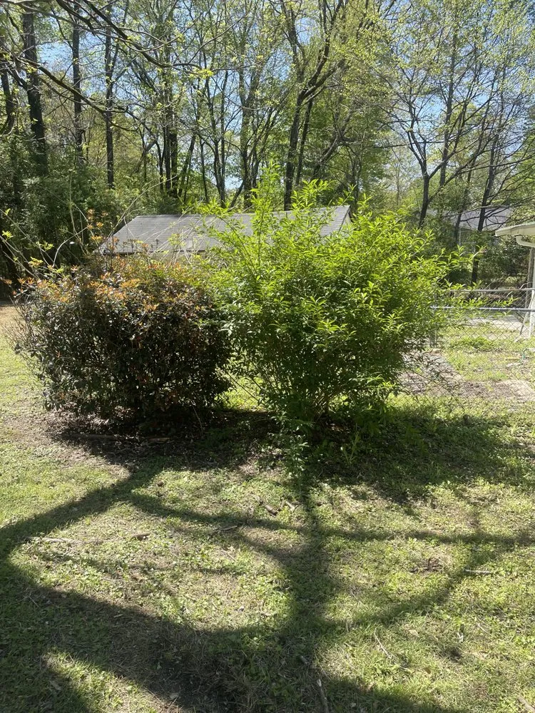 Local yard cleanup service for beautiful yards in Jasper, AL by Deep South Excavation And Landscaping