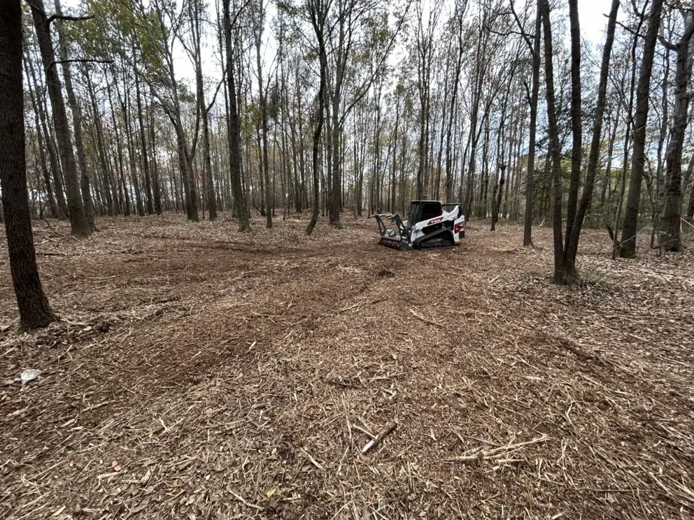 Professional lawn care service in Anderson, SC - Deep South Land Management & Grading