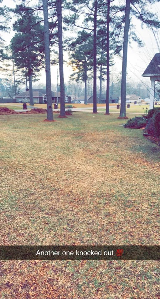 Top-rated lawn care service in Little Rock, AR - Deep South Landscaping Of Arkansas