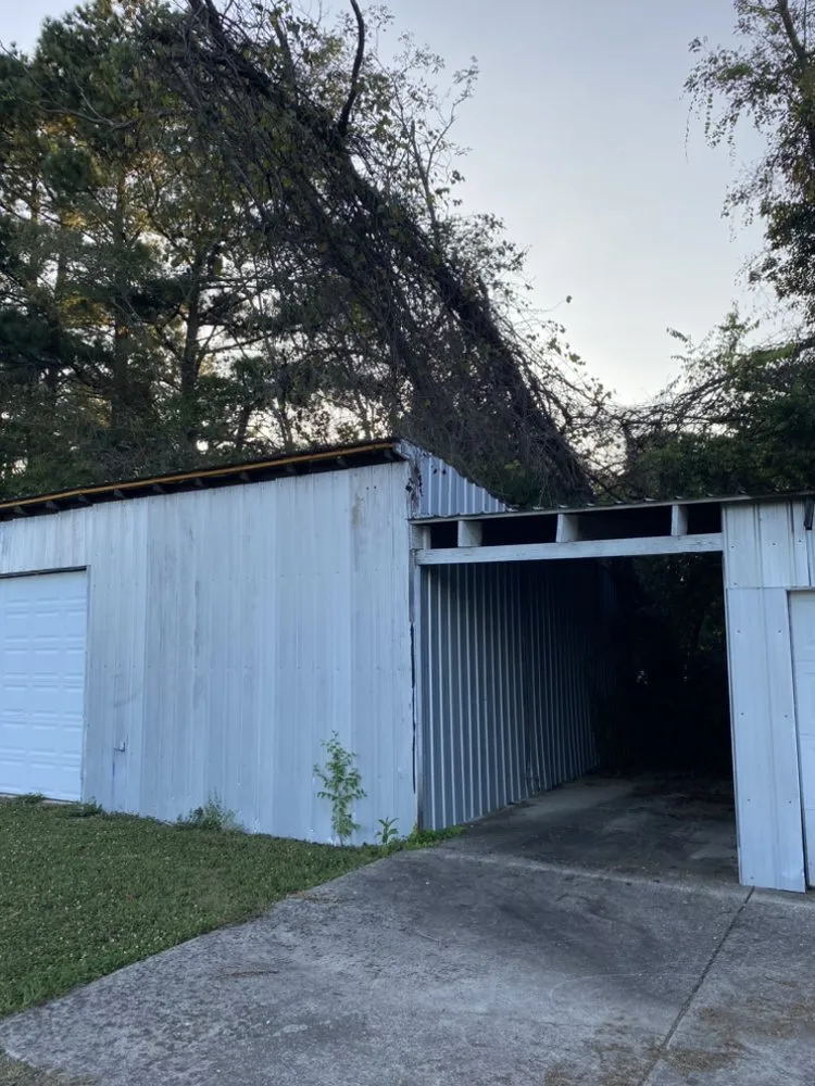 Top-rated landscaping services in Springfield, TN by Deep Woods Tree And Land Clearing