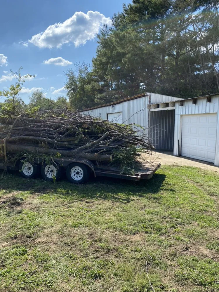 Professional landscape design in Springfield, TN - Deep Woods Tree And Land Clearing