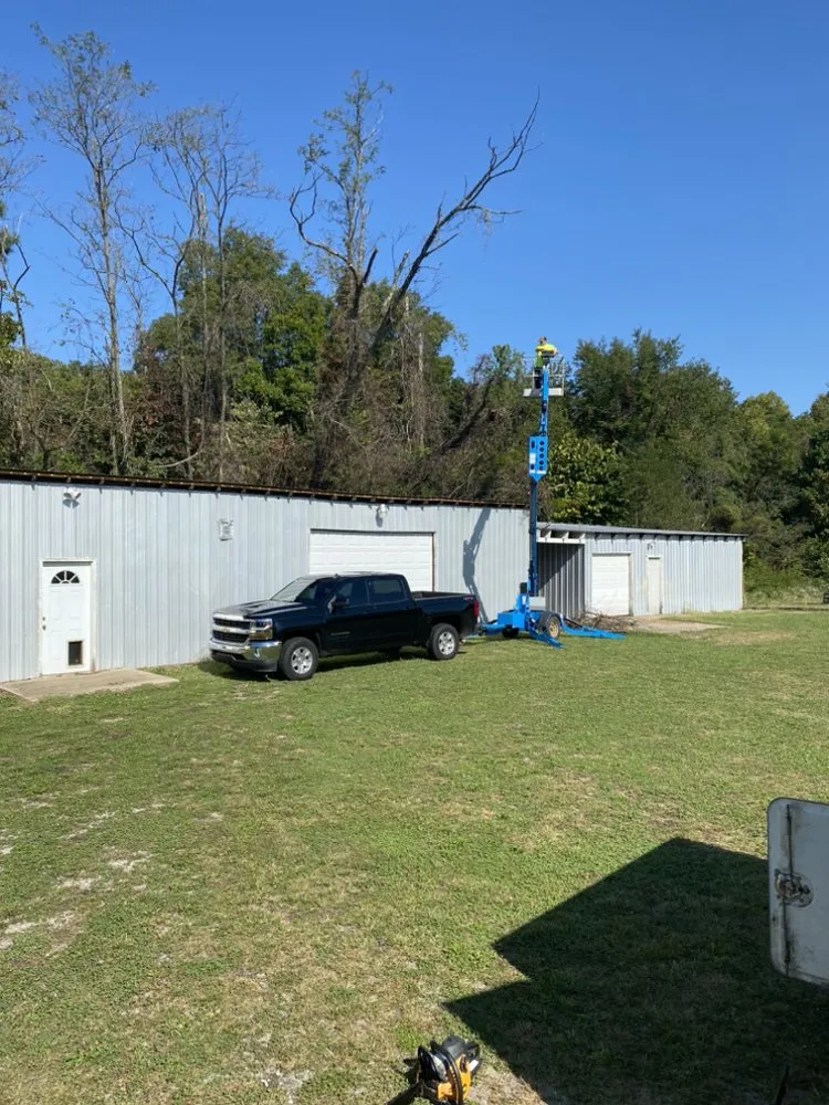 Professional landscape installation in Springfield, TN - Deep Woods Tree And Land Clearing