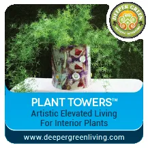 Custom yard maintenance experts serving Forest Knolls, CA - Deeper Green