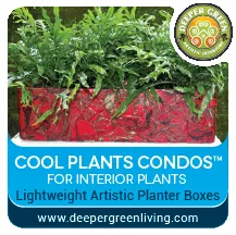 Top-rated landscaping services in Forest Knolls, CA - Deeper Green