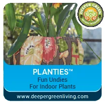 Local outdoor landscaping for residential properties across Forest Knolls, CA - Deeper Green