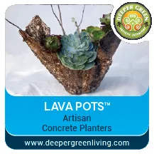 Professional outdoor landscaping experts serving Forest Knolls, CA - Deeper Green