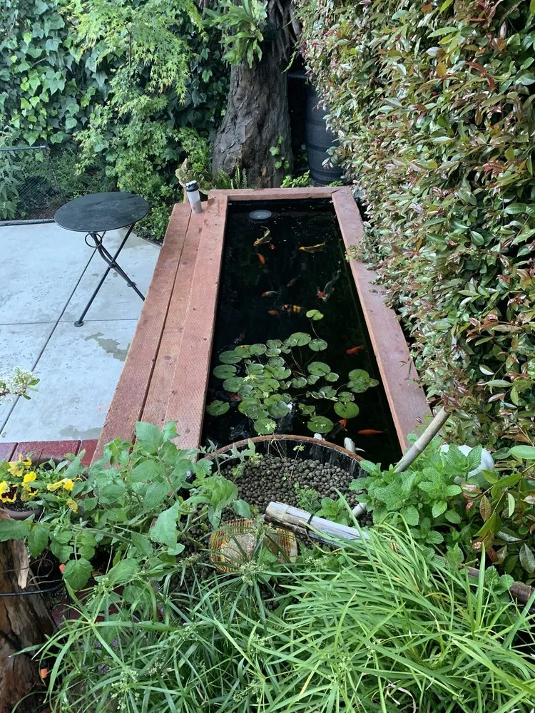 Professional lawn care service in Los Angeles, CA - Deephouse Landscaping