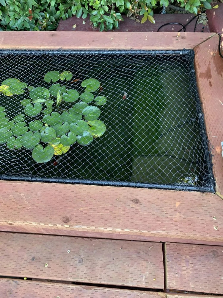 Professional landscape installation experts serving Los Angeles, CA - Deephouse Landscaping