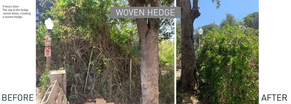 Custom yard maintenance for residential properties across Los Angeles, CA - Deephouse Landscaping