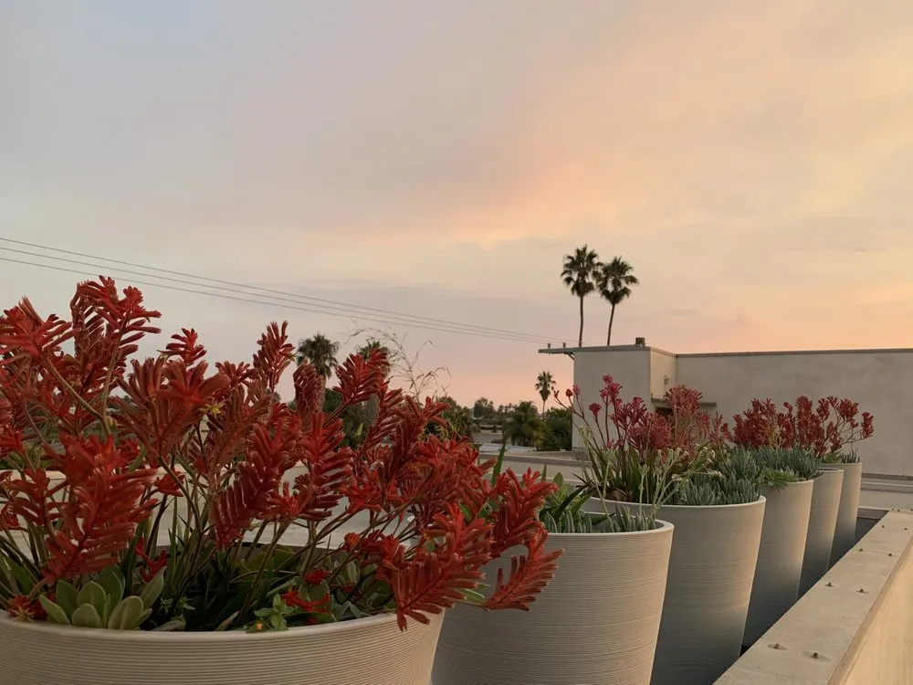 Reliable landscape design for outdoor upgrades in Los Angeles, CA by Deephouse Landscaping